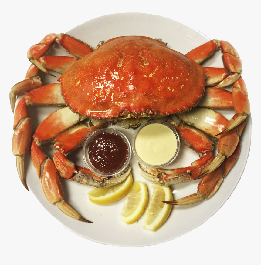 Snow Crab Vs Dungeness Crab, HD Png Download