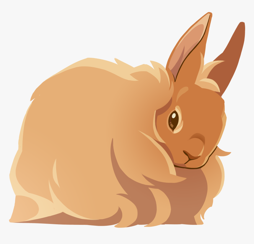 Hare, HD Png Download