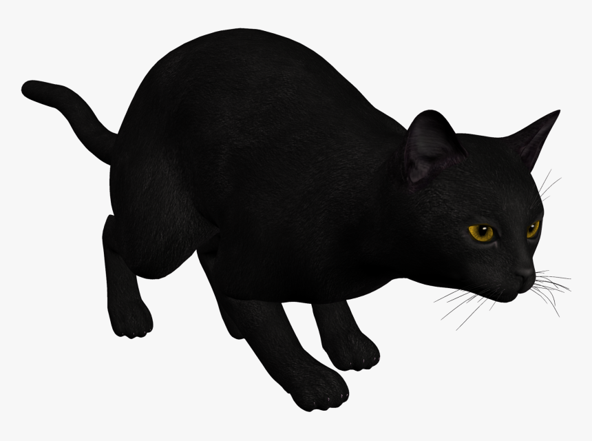Cat Black Png Clipart Clipart Image - Draw A Cat Pouncing, Transparent Png