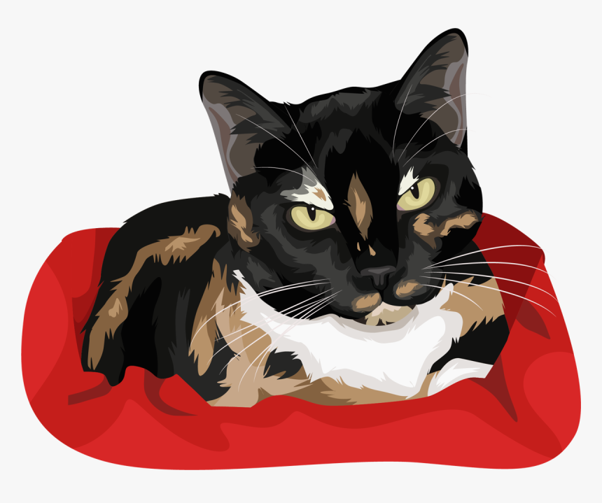 Black Cat, HD Png Download