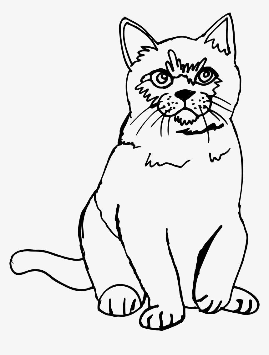 Cat Sketch Line Art Clip Arts - Cat Png Line Drawing, Transparent Png
