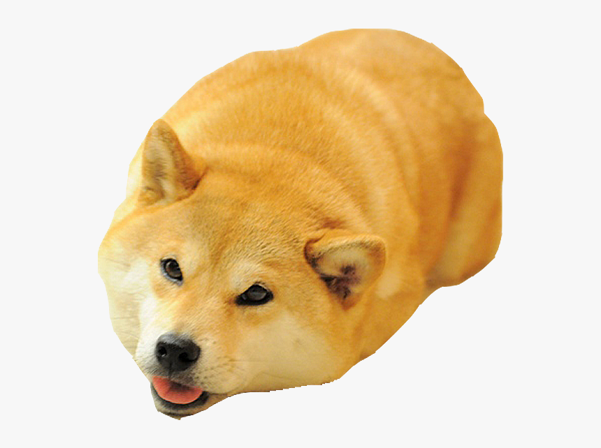 Shiba Dog S Head Messages Sticker-2, HD Png Download