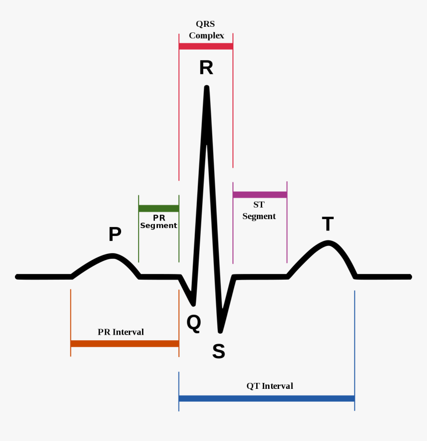 P Qrs T Ecg, HD Png Download