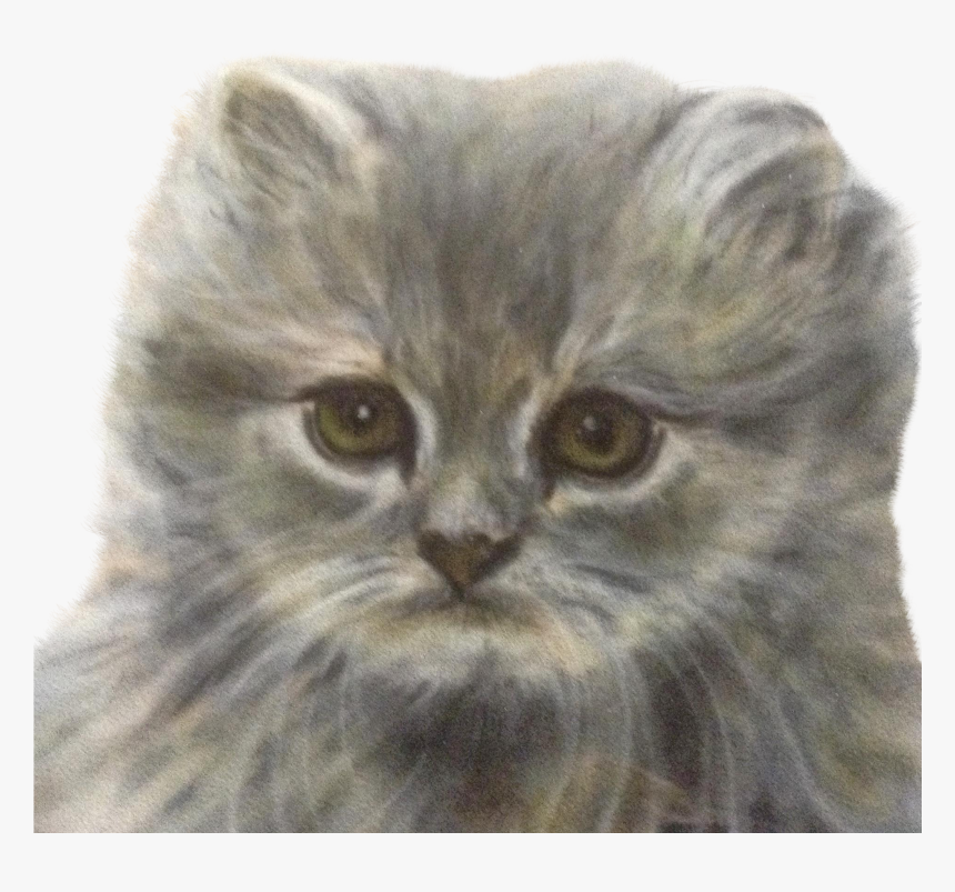 Drawn Kittens Persian Kitten - Domestic Long-haired Cat, HD Png Download
