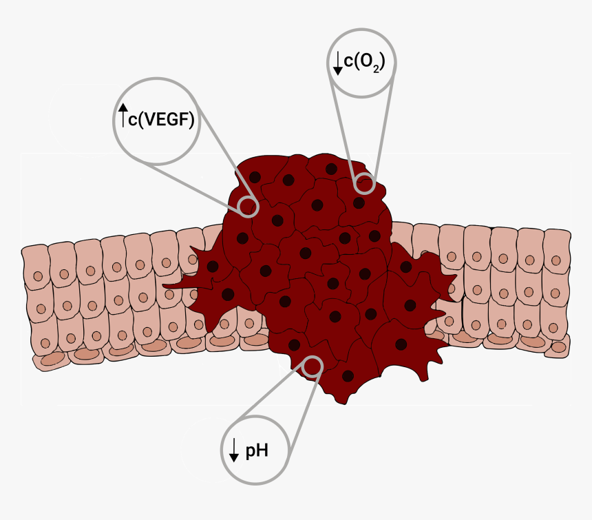 Transparent Tumor Png, Png Download