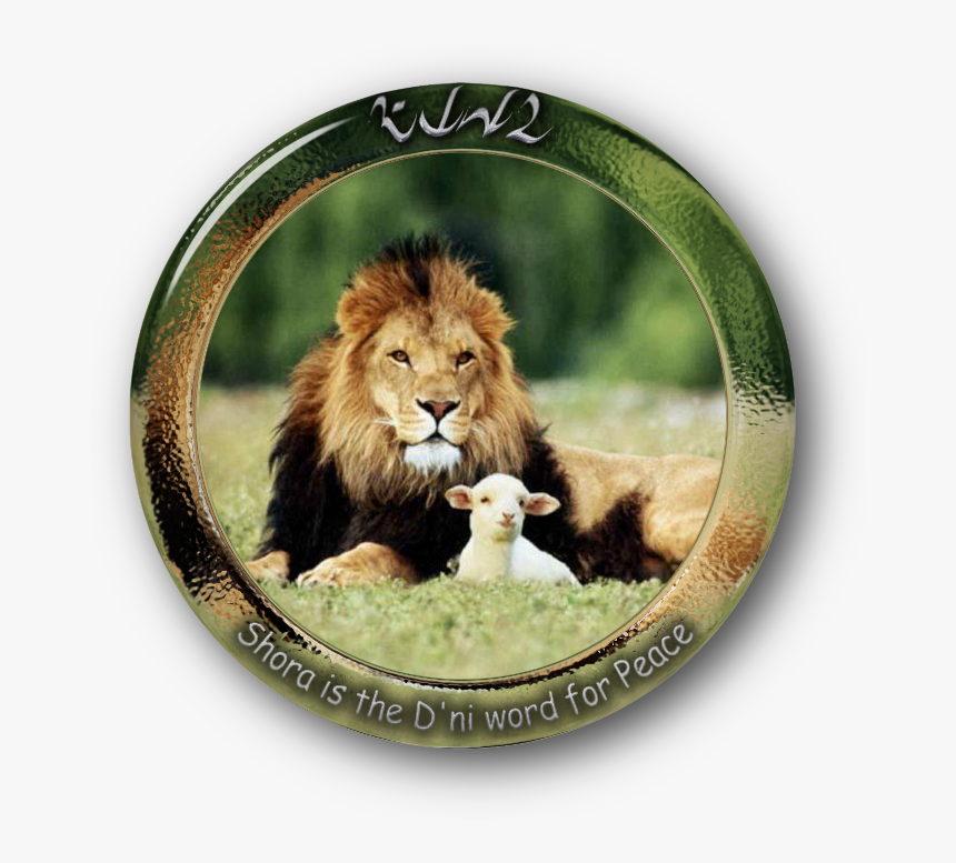 The Lamb And Lion Sheep Leopard Lamb And Mutton - Lion And The Lamb Christian, HD Png Download