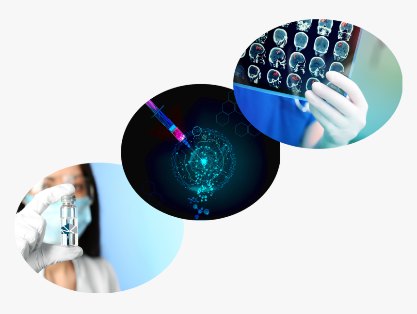 Picture - Circle, HD Png Download