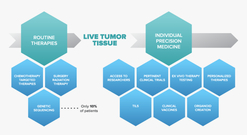 9 Types Of Intelligence, HD Png Download