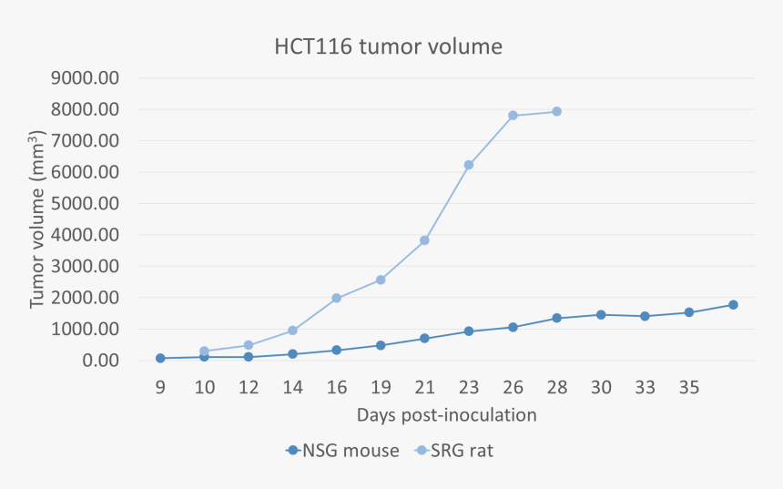Plot, HD Png Download