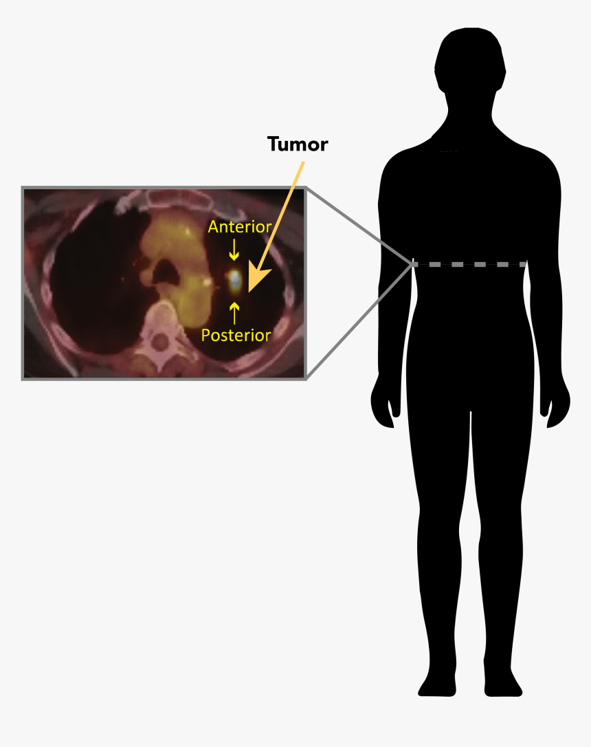 Standing, HD Png Download