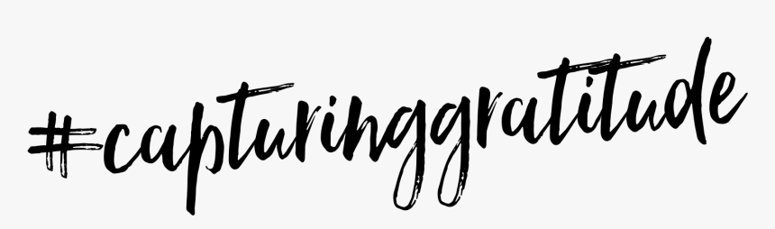 Capturing Gratitude - Calligraphy, HD Png Download