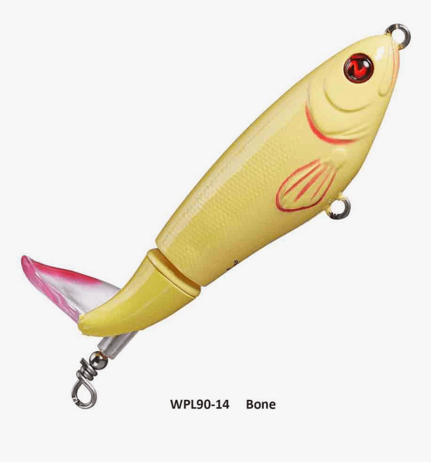 Fin, HD Png Download