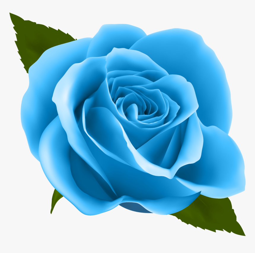 Blue Roses Png - Rose Clipart Png, Transparent Png