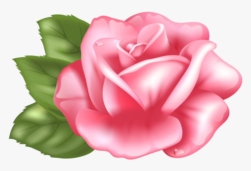 Rose Pink Desktop Wallpaper Clip Art - Pink Rose Clipart Transparent