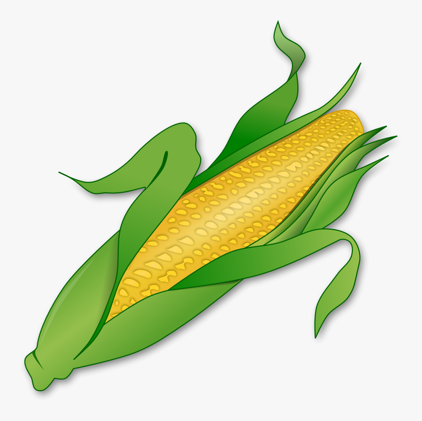 Corn Clipart Cob - Corn Clipart Transparent Background, HD Png Download