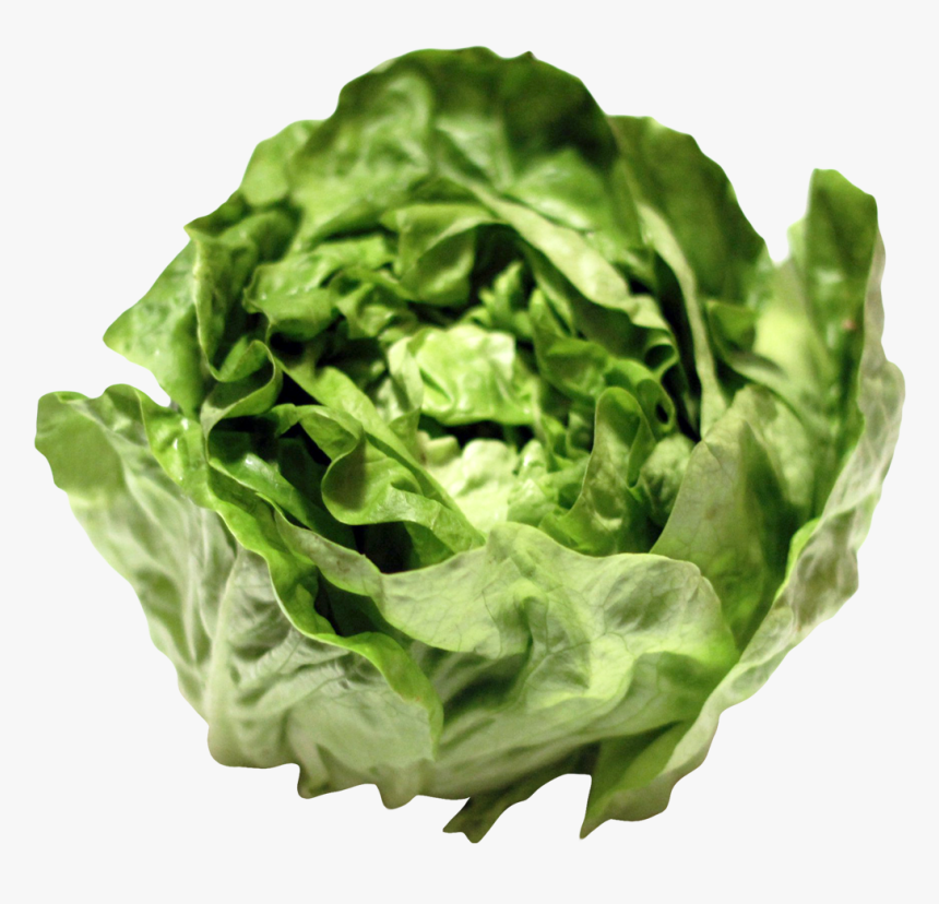 Png Lettuce, Transparent Png