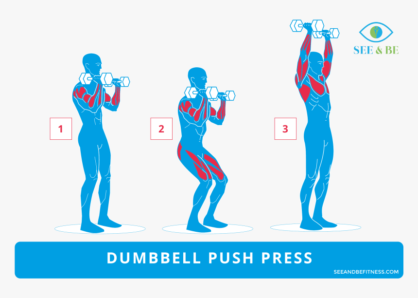 Step Up Knee Raise Muscles Worked, HD Png Download