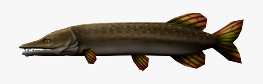 Lunge, HD Png Download