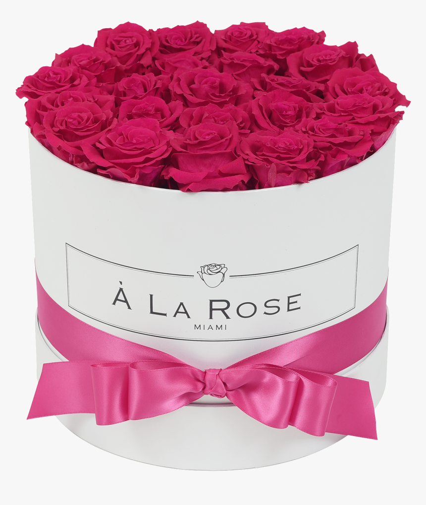 Orb Deluxe Hot Pink Roses, HD Png Download