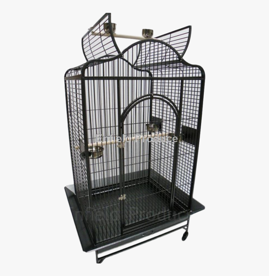 Clip Art Xl Open Top Parrot - Open Top Parrot Cage, HD Png Download