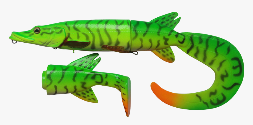 Transparent Eel Baby Green - Northern Pike, HD Png Download