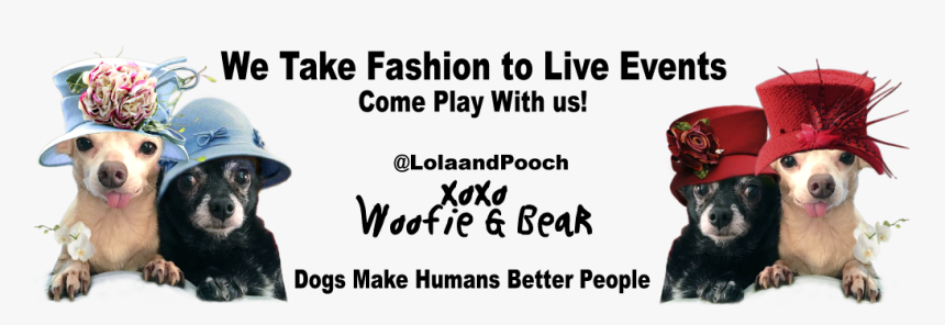 Rami Levy Hashikma Marketing, HD Png Download