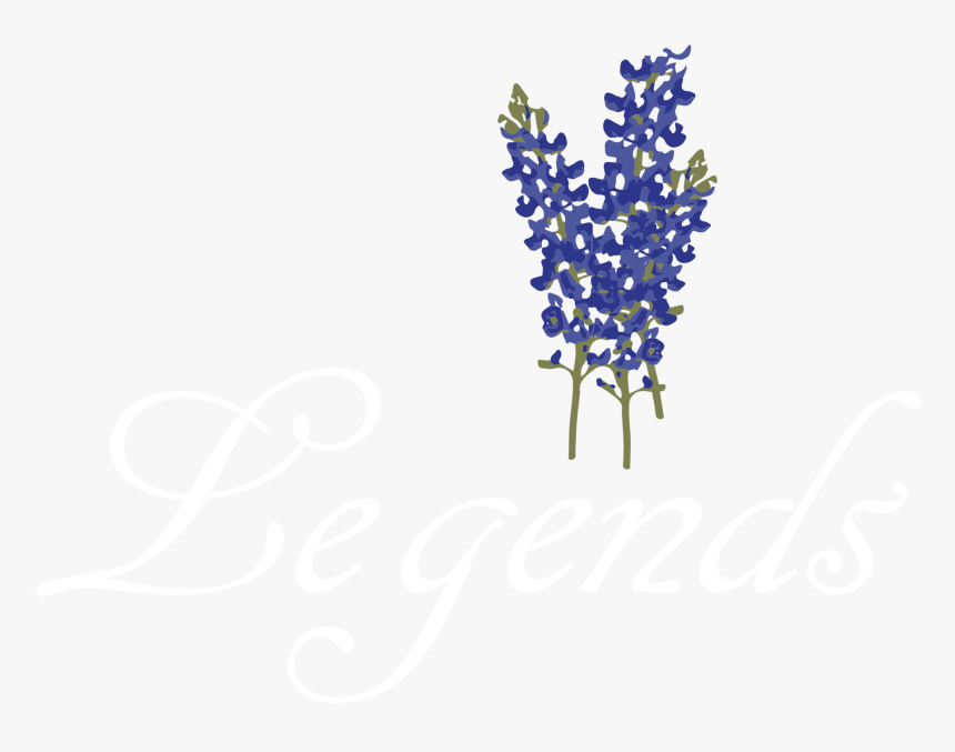 Lavender Body Jewellery Line Font - Transparent Bluebonnet Flower Bluebonnet Png, Png Download