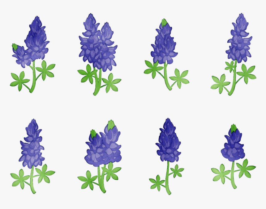 Bluebonnet Purple Lavender Cut Flowers Tree - Lupin, HD Png Download