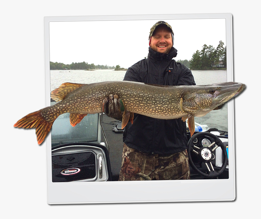 Pike Fishing Lake Nipissing, HD Png Download