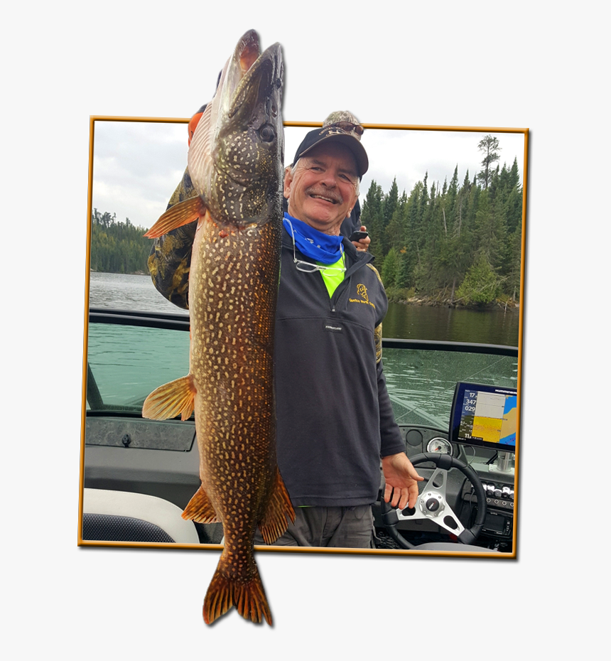 Northern Pike - Pull Fish Out Of Water, HD Png Download