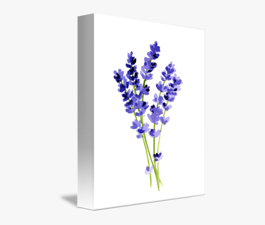Transparent Hyacinth Png - Lavender Painting, Png Download