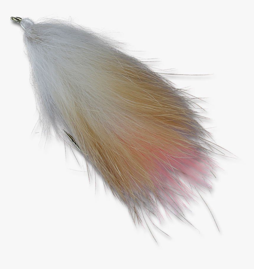 Drifting Carcass - - Invertebrate, HD Png Download