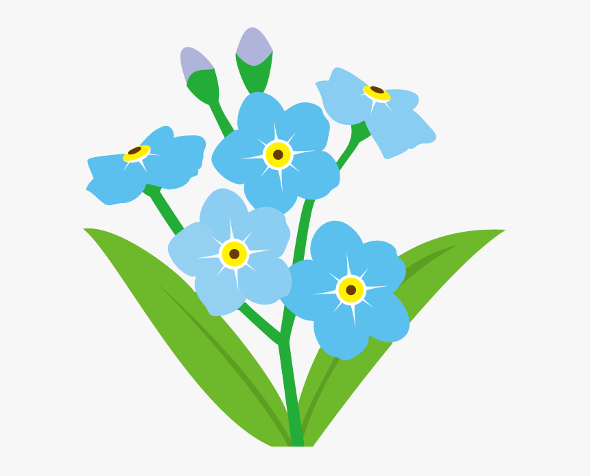 Forgetmenot Forget Me Nots - Forget Me Not Flower Clipart, HD Png Download