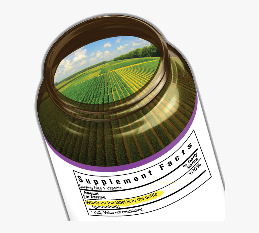 Circle, HD Png Download