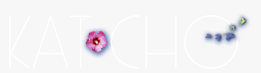 Kat Cho - Swamp Rose Mallow, HD Png Download