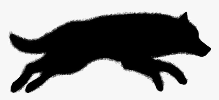 Red Fox Gray Wolf Coyote, HD Png Download