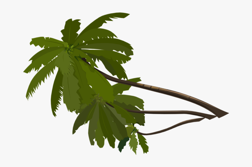 La Casa Del Mofongo - Twig, HD Png Download