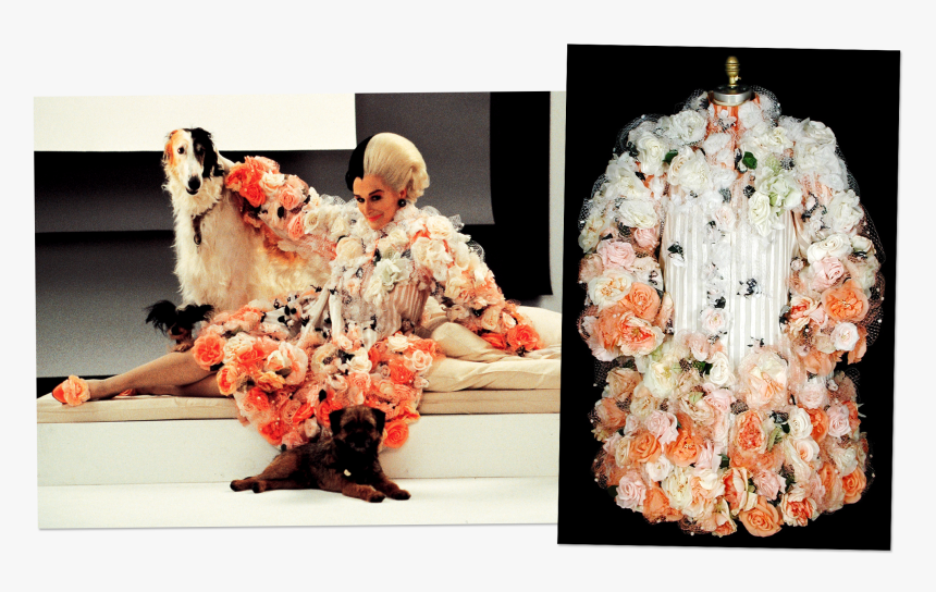 Ombred Silk Organza Decorated With Tulle And Silk Roses - Glenn Close Cruella De Vil Costumes, HD Png Download