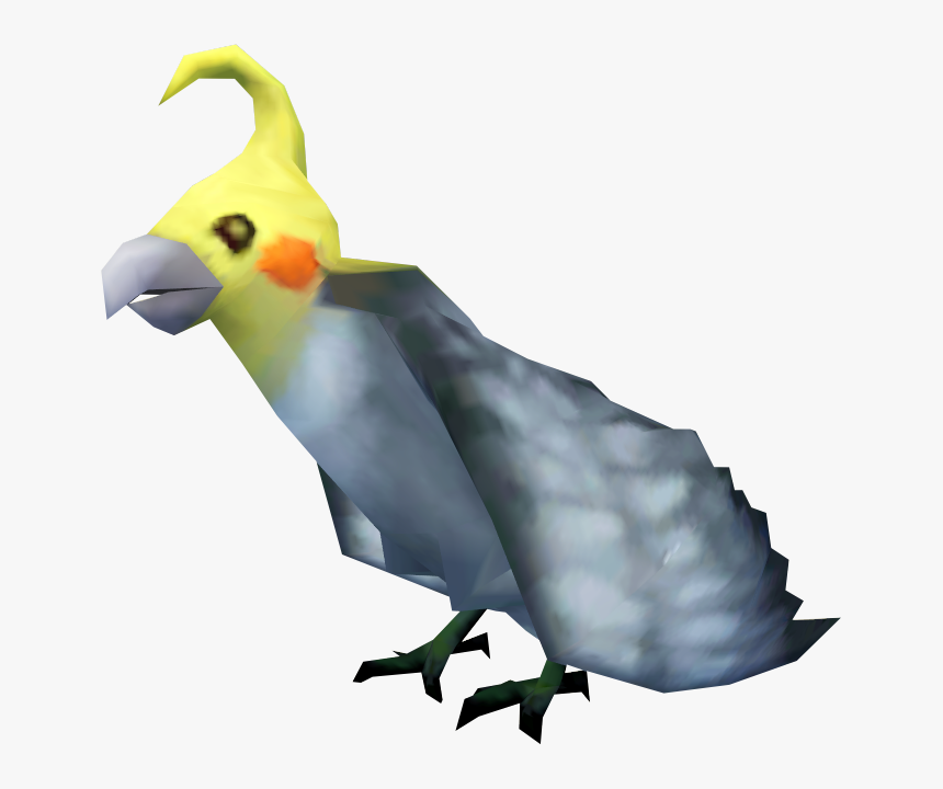 Png Calopsita, Transparent Png