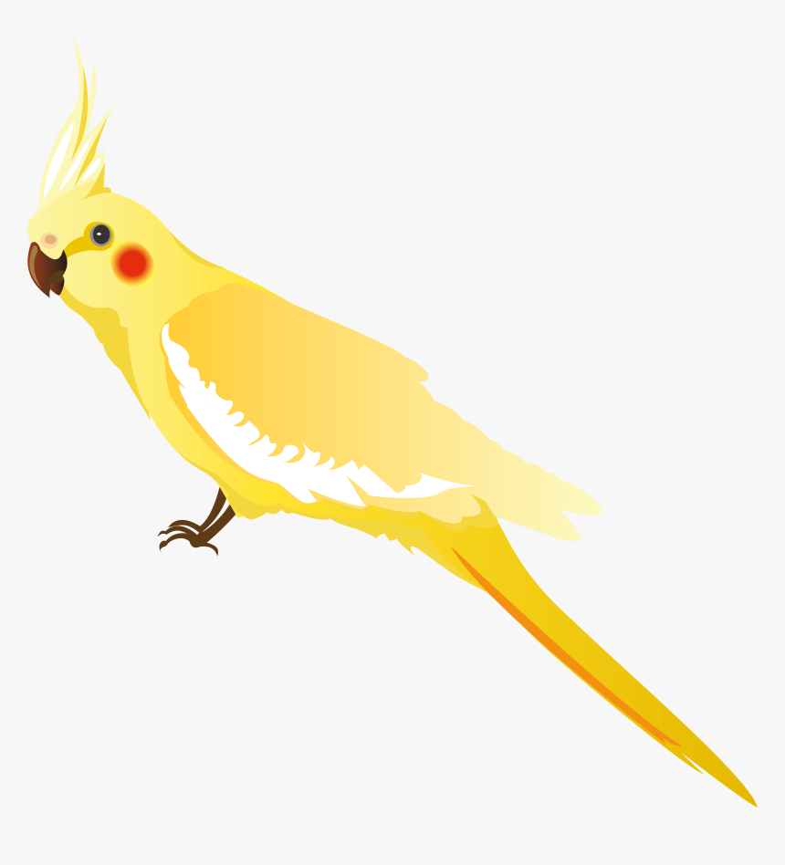 Yellow Parrot Png Clipart - Png Transparent Yellow Parrot, Png Download