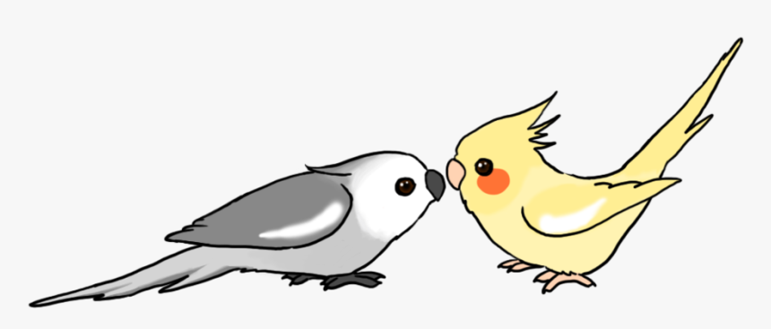 Cockatiel Clipart, HD Png Download
