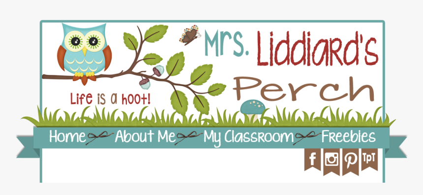 Owl, HD Png Download