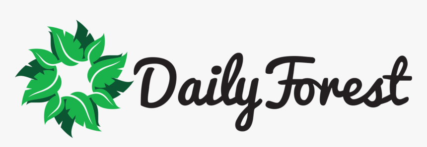 Dailyforest - Calligraphy, HD Png Download