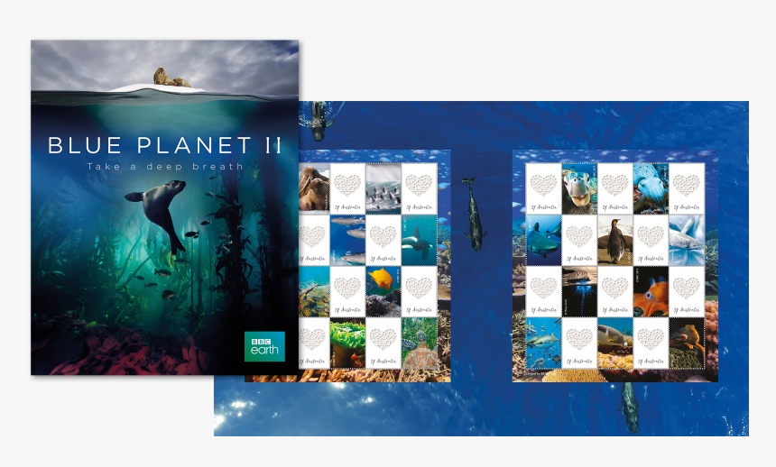 Banner, HD Png Download