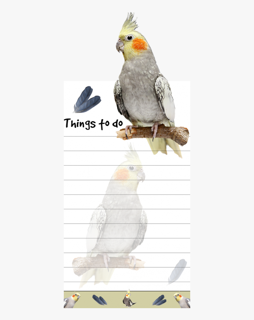 Cockatiel, HD Png Download
