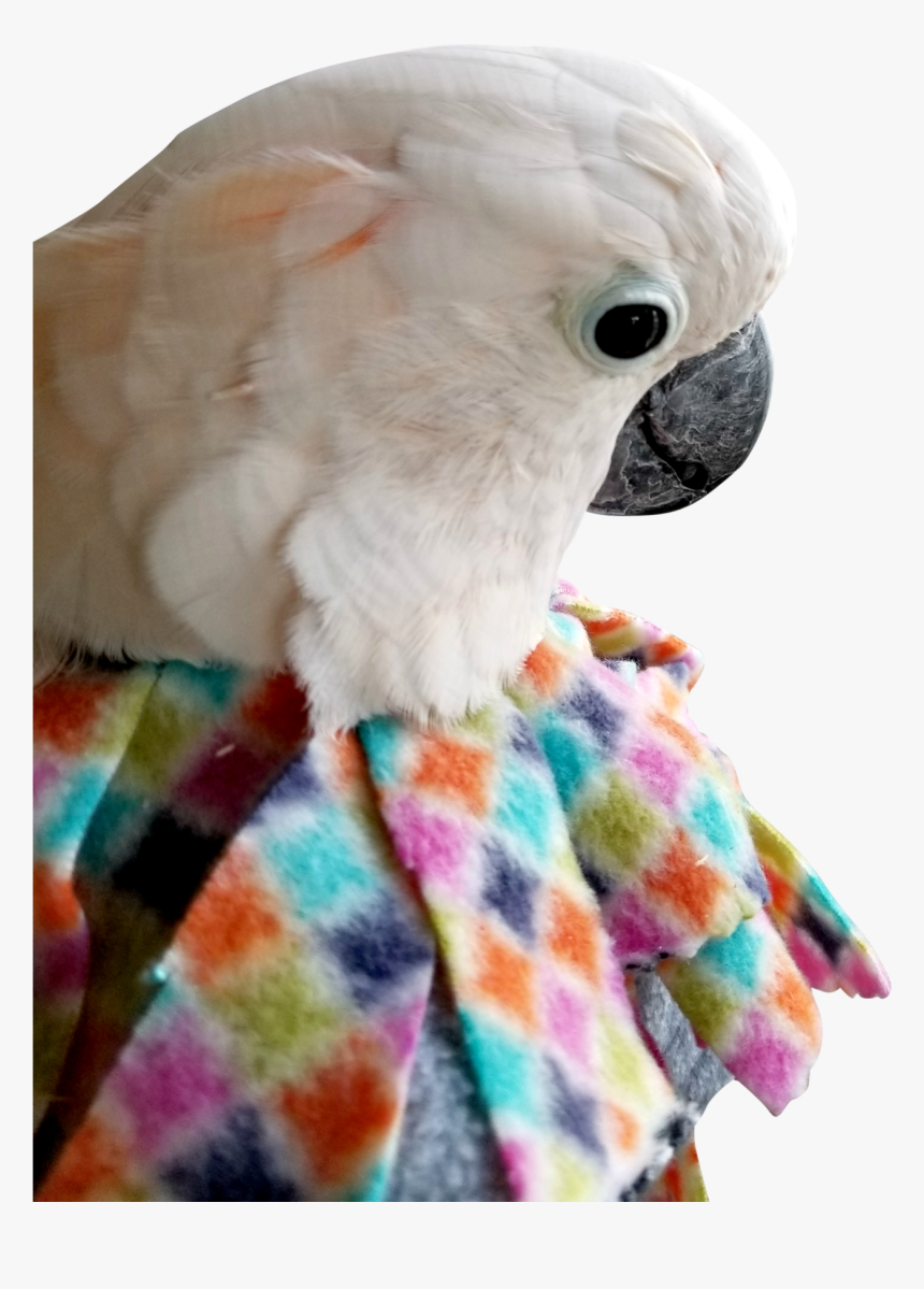 Unruffledrx Fleece Parrot Collar, Velcro Closure - Parrot Collar, HD Png Download
