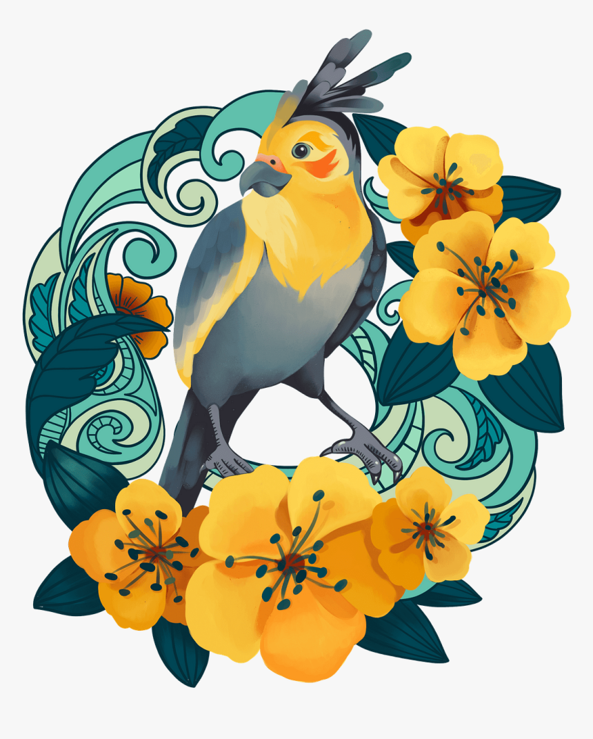 Cockatiel, HD Png Download