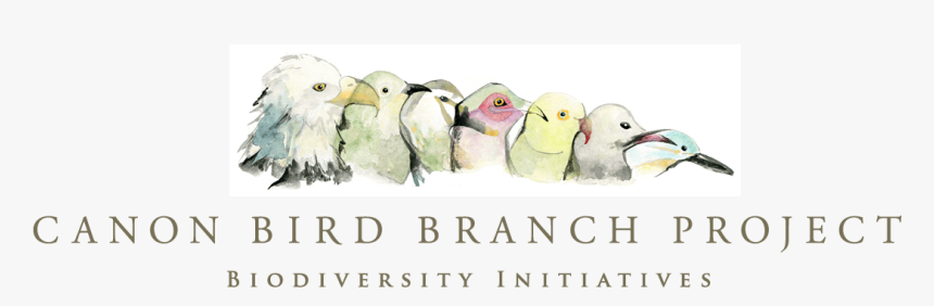 Canon Bird Branch Project - Lovebird, HD Png Download