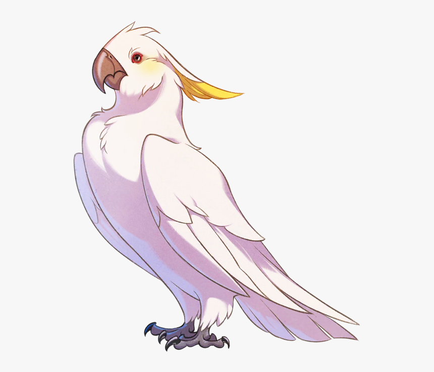 The Arcana Wiki - Cockatiel, HD Png Download