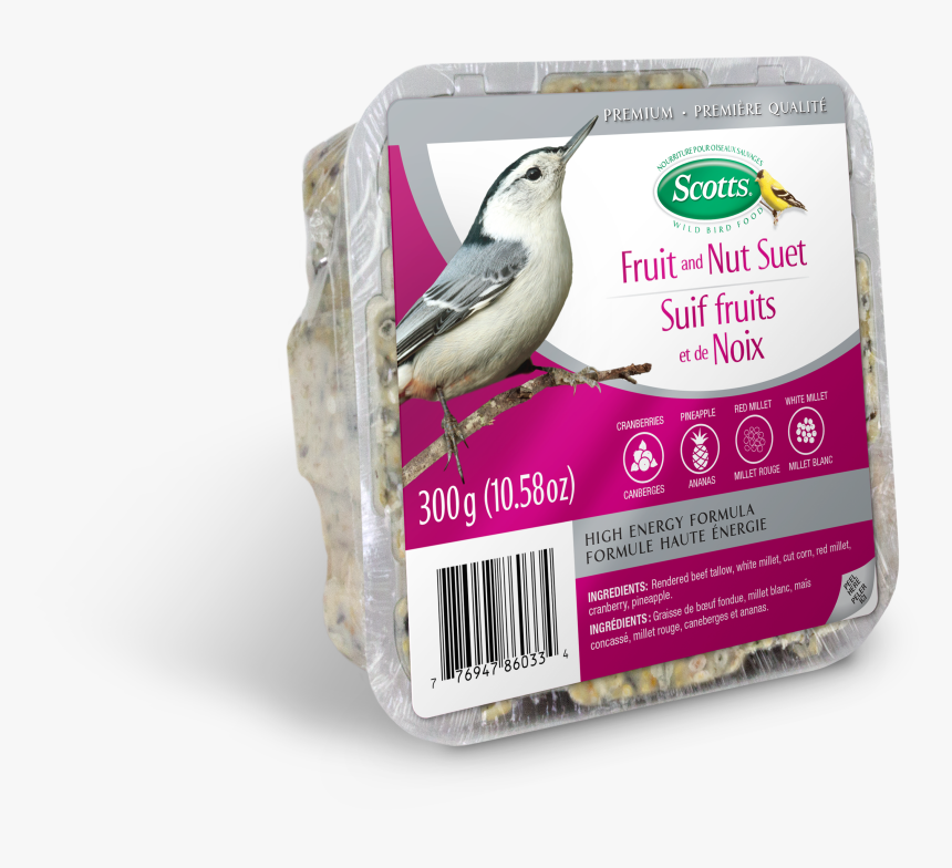 Blue-footed Booby, HD Png Download